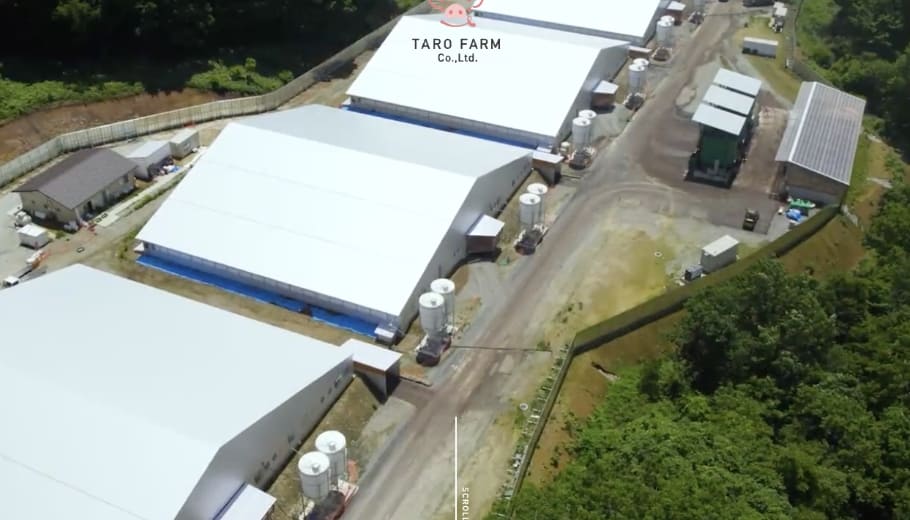 タローファーム