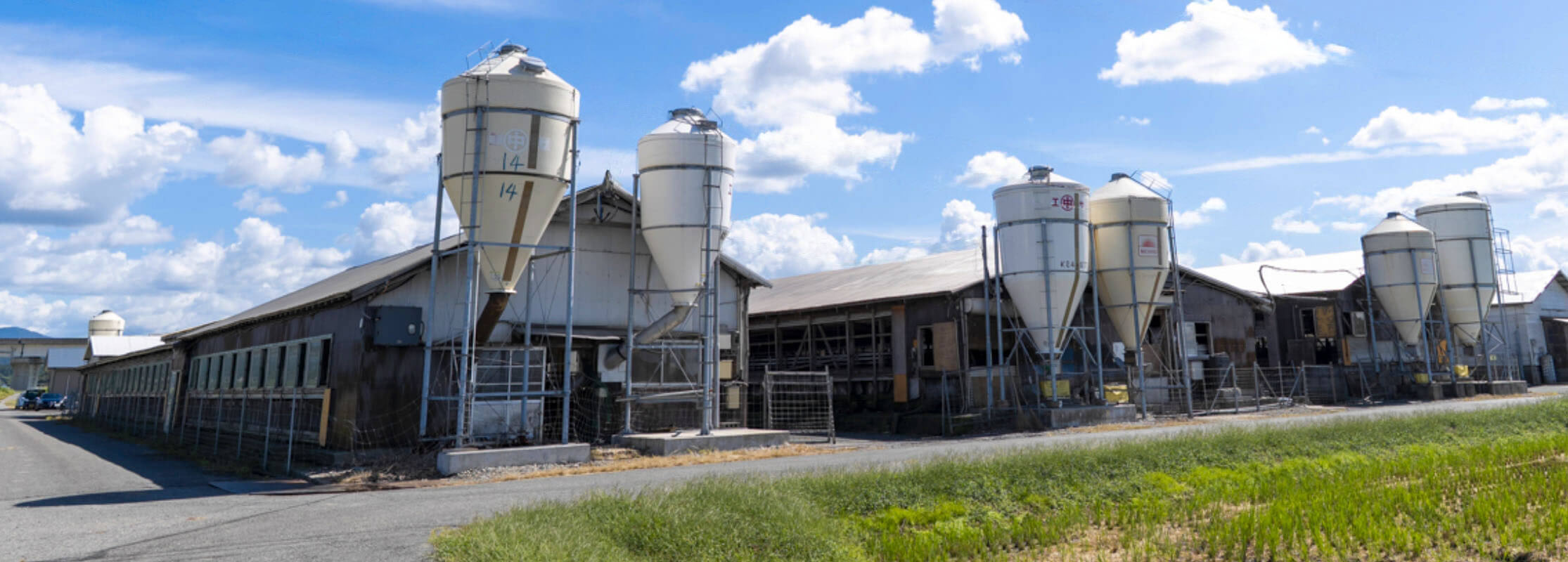 私たちについて